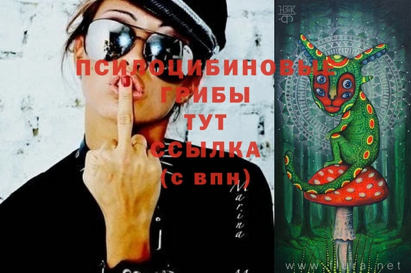 дурь Нефтегорск